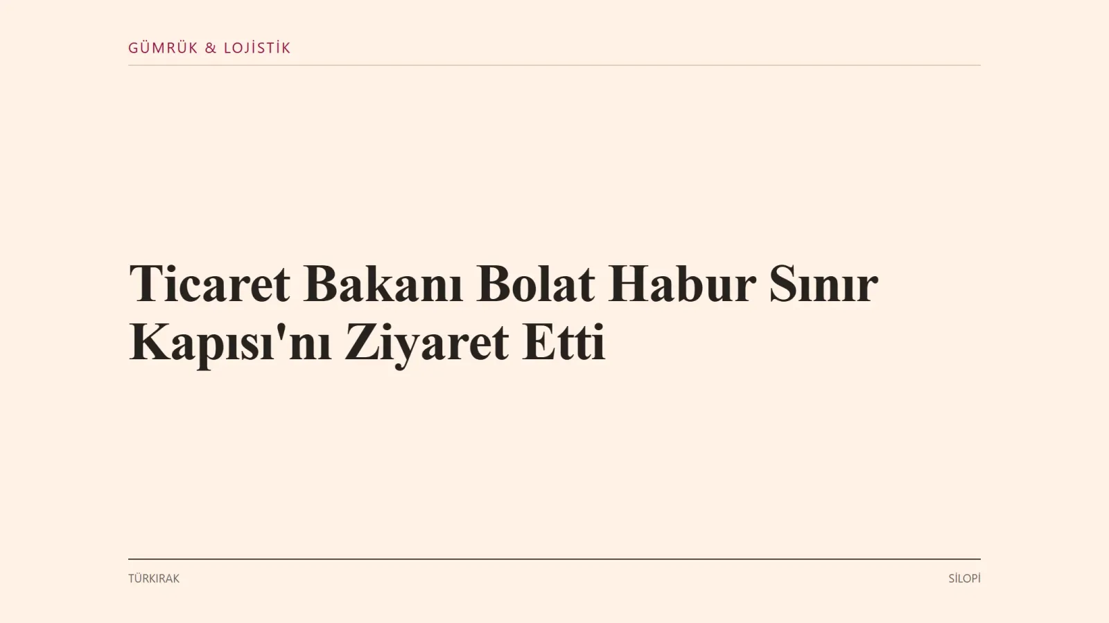 SİLOPİ: Ticaret Bakanı Ömer Bolat, Habur Sınır Kapısı'nı ziyaret etti